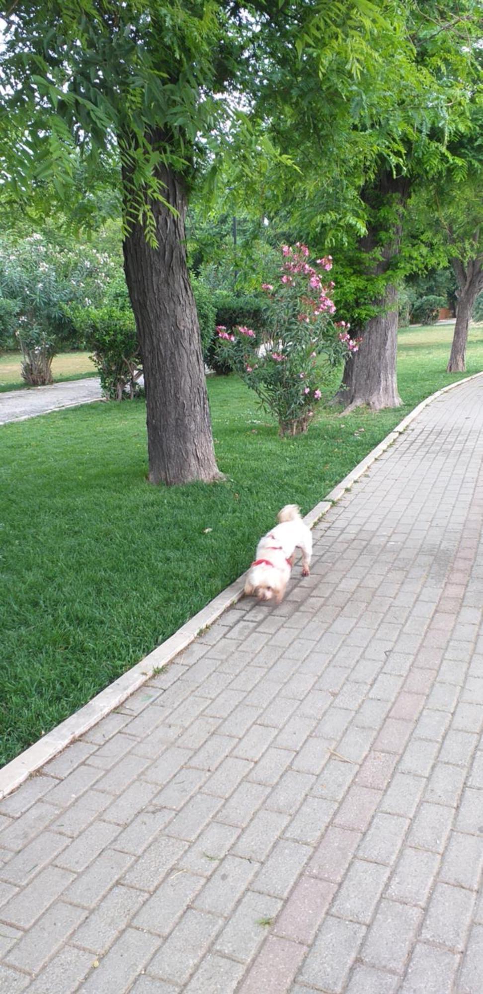 Christy Apartment Corfu  Bagian luar foto
